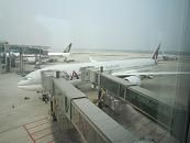 bカタール航空