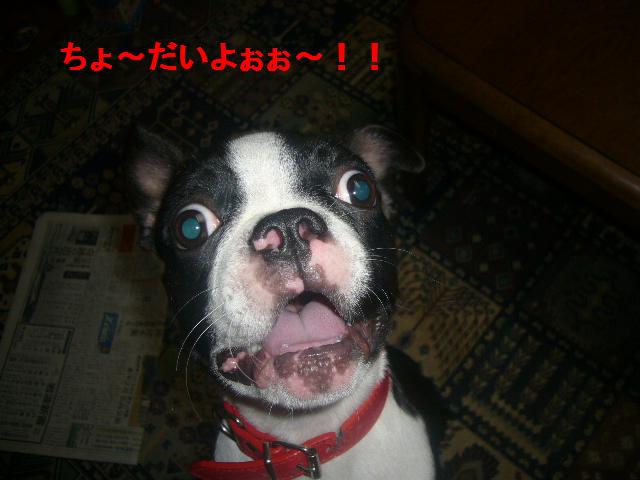 小さい4