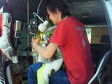 d58c0420.jpg