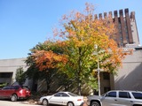 613c6613.jpg