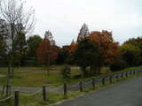05321e81.JPG
