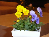 06671f9c.JPG