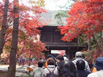 平林寺