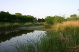 e784150f.jpg