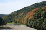 f6359abf.jpg