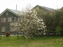 P3210298