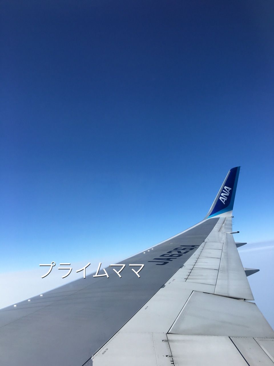 上海ディズニーランド旅行記 その1 飛行機〜上海タクシー : プライムママ