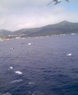 05.8.10 ¥«¥â¥áã
