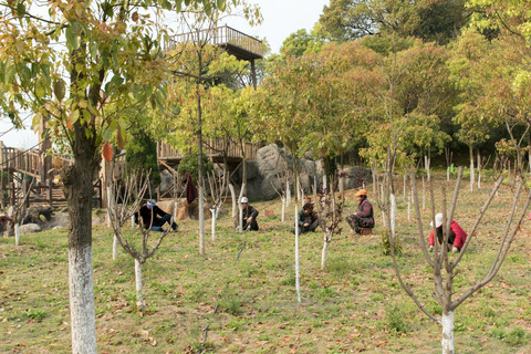 Wuhan-blog-1453