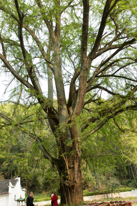Wuhan-blog-1446