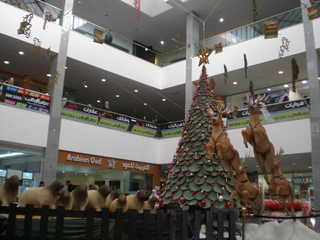 Xmas tree in Mecca Mall