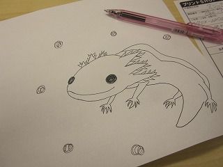 s-ぱこT (1)