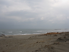 日本海