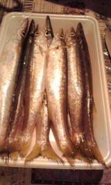 5ec03e25.jpg