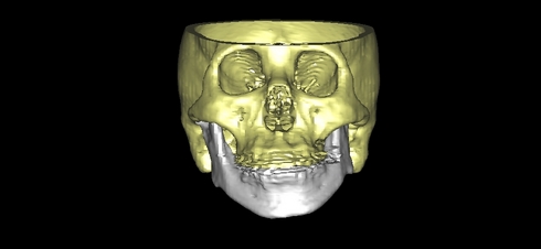 toyoda isamu 3d1