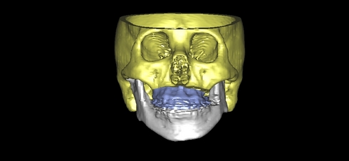 toyoda isamu 3d2