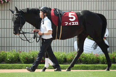 フィエロ,安田記念 フィエロ,安田記念
