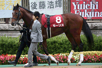 モーリス,安田記念 モーリス,安田記念