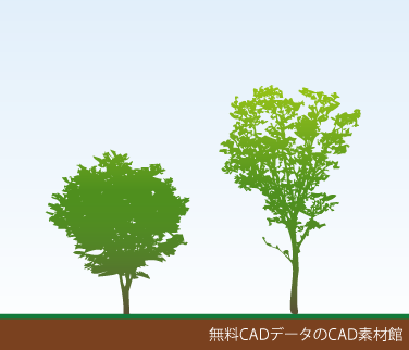 tree5