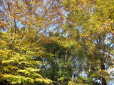 25f5e6d0.jpg