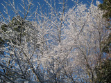 49f17457.jpg