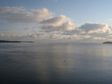 56d893a3.jpg