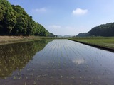 58b09a70.jpg