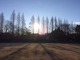788d3466.jpg