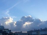 86e55506.jpg