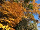 a56f1bc1.jpg