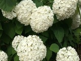 d5860c10.jpg