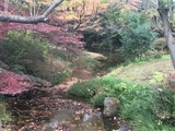 df84395a.jpg