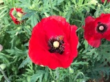 f83e8177.jpg