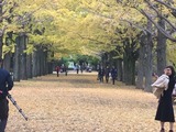 ff4c6636.jpg