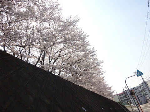 DSC00819