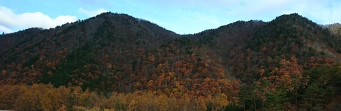DSC_0443 (002)