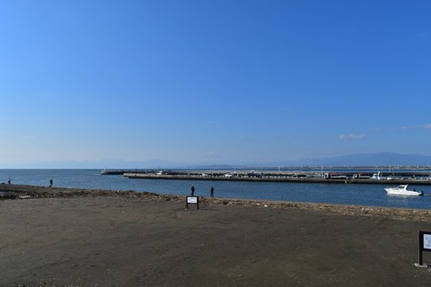 106bf86d.jpg