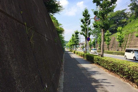 2017-07-16-13-55-22