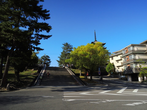 1e011527.jpg