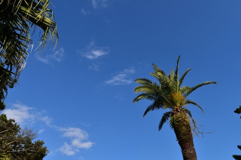 32ca8a01.jpg
