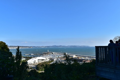 43e6ba05.jpg