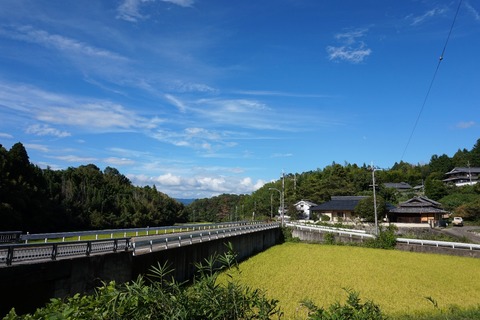 473a368b.jpg