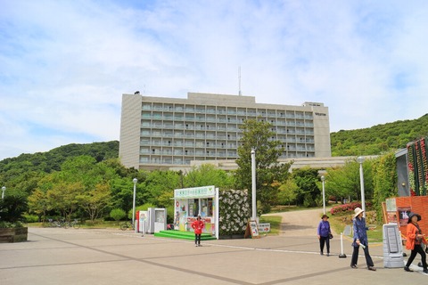 4d56473c.jpg
