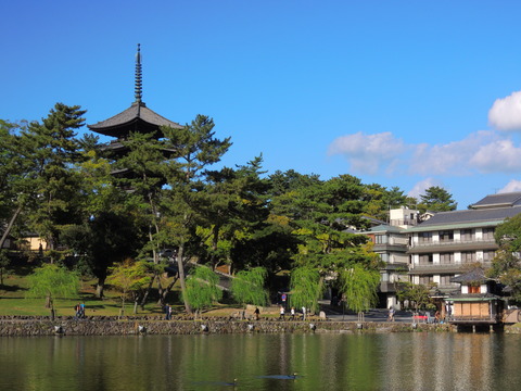 50d60f2c.jpg