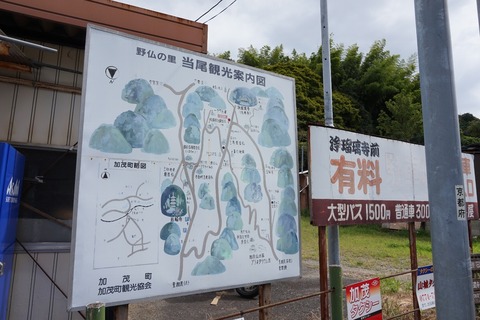 5770814a.jpg