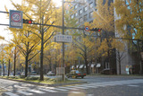 59b055e0.jpg