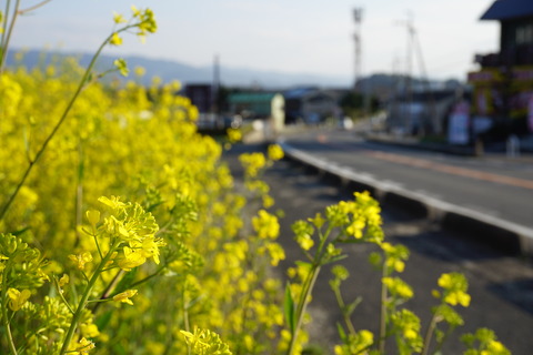 6f4a79a5.jpg