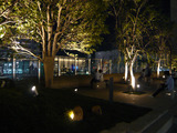 710b387e.jpg