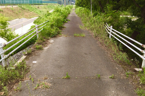 2017-07-16-16-16-36
