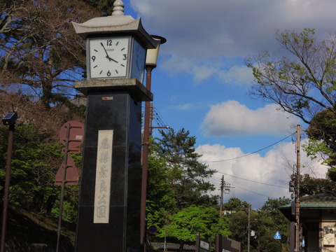7646b342.jpg
